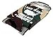 Funny Guy Mugs Back-To-Back World War Champs Collapsible Neoprene Can Coolie - Drink Cooler
