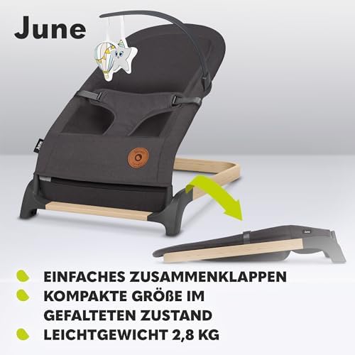 June Babywippe, ab den ersten Lebenstagen bis zu 9kg