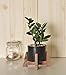 Mid Century Plant Stand – Wood Table Top Plant Stand Mini Flower Pot Holder for Succulent Cactus Small Plant Home Office Desk Decoration – Apollo – Fits up to 6.5” Planter (Planter NOT Included)thumb 3