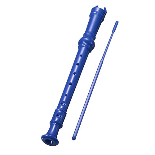 1 KINGSO+Soprano+Recorder+Cleaning+Instrument