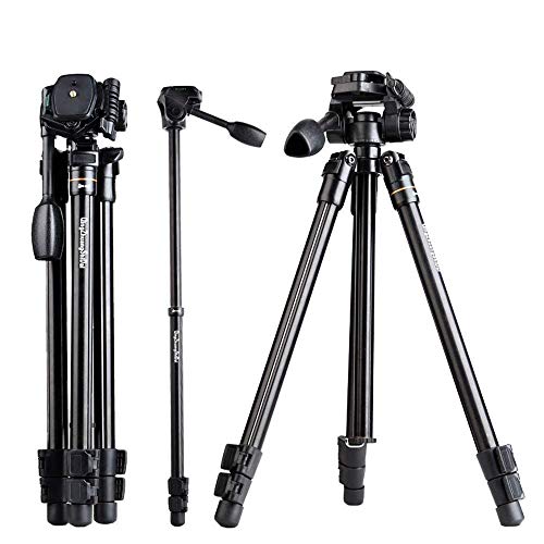 Foto4easy 52 Inch Portable Camera/Phone Aluminum Tripod,Compact and Lightweight Tripod with 360Â° Panorama Ball Head for Travel and Work Professional Photography