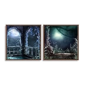 Framed Canvas Wall Art Dreamscape Canvas Prints Home Artwork Decoration for Living Room,Bedroom - 16"x16"x2 Panels