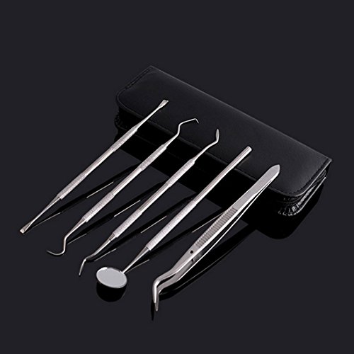Stainless Steel Dentistry Tools Oral Care Set Probes Mirror Scraper Kit 5Pcs - Thumbnail 2