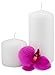 Royal Imports Pillar Candles White Unscented Premium Wax, 30 Hours Burning for Wedding, Spa, Party, Birthday, Holiday, Bath, Home Decor - 3