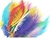 TBUY ROSE 3.5-6 inch 9-15cm Colorful Ostrich Feathers for DIY Dream Catchers Crafts Bulk Feathers Assorted Colors Home Decoration DIY Craft (500 Pack)