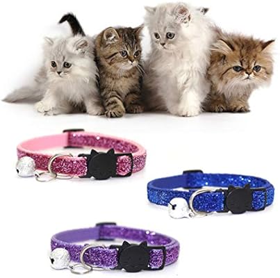 cat neck belt online