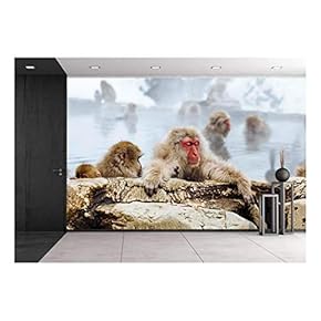 Japanese Macaque Monkeys in Bath - Removable Wall Mural | Self-Adhesive Large Wallpaper - 66x96 inches