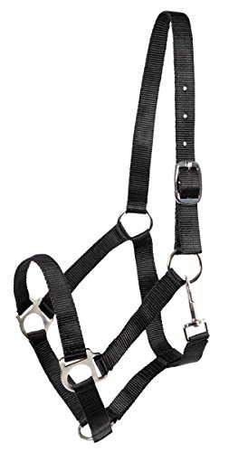PFIFF Cob Udine Horse Halter Nylon for Thoroughbred Horses