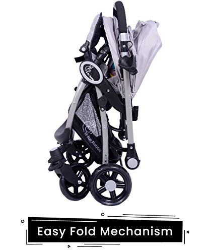 r for rabbit chocolate ride folding