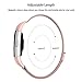 Fitbit Charge 2 Band, ALNBO Milanese Mesh Loop Stainless Steel Replacement Bracelet Strap with Strong Magnet Lock, Rose Gold