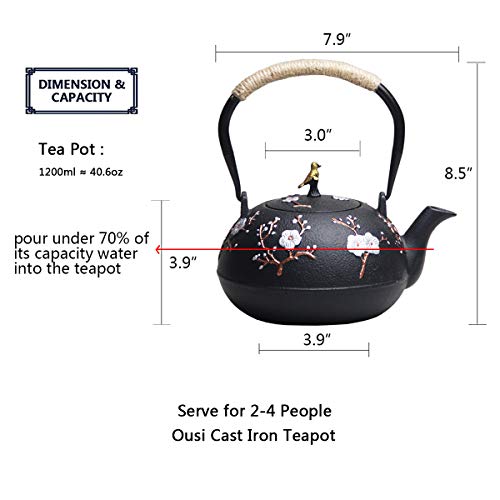 Cast Iron Teapot, Japanese Style Tetubin, Tea Kettle with Removable