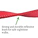 Dog Leash for Medium, Large and Small Dogs - 6 Foot Dog Leashes for Training and Daily Walks - Durable Sizes in Lightweight and Heavy Duty for Small and Large Breeds (2-Layer Reflective, Red)