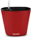 Aquaphoric Self Watering Planter (7”) + Fiber Soil = Foolproof Indoor Home Garden. Modern Decorative Planter Pot for All House Plants, Flowers, Herbs, African Violets, Succulents. Easy / Looks Great.