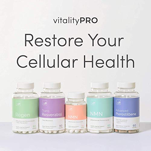 Trimethylglycine-TMG-500mg-x-120-Capsules-Vitality-Pro-High-Strength-TMG-Supplement