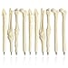MXXGMYJ MagicW Novelty Bone Shape Ballpoint Pens Finger Skull Bone Pen For Nurse Doctor Stationery Crazy Student Gift Pack of 10