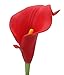 Duovlo 20pcs Calla Lily Bridal Wedding Bouquet Lataex Real Touch Artificial Flower Home Party Decor (Red)