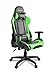 Verona V2 Advanced Racing Style Gaming Chair with High Backrest, Recliner, Swivel, Tilt, Rocker & Seat Height Adjustment, Lumbar & Headrest Pillows Included, Green - PC/Mac/Linux