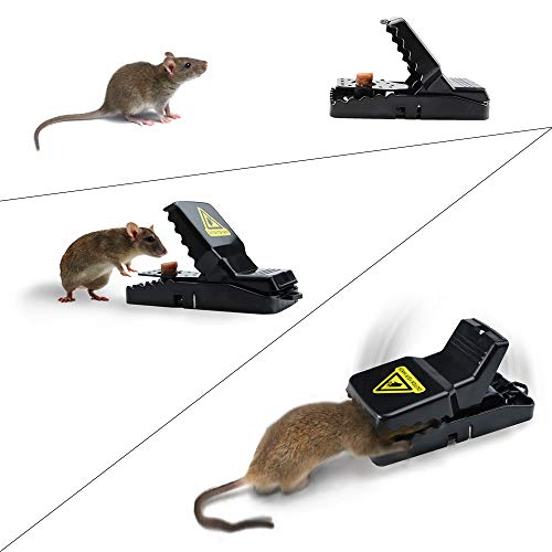 Piccola Trappola per Topi, Trappole a Scatto Riutilizzabili Clip, Alta Sensibilità, Sicuro, Altamente efficace, Confezione da 8
