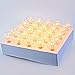 Escolite G40 String Lights Indoor Outdoor for Wedding Lights, Bedroom Lighting, Patio Lights Green