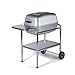 PK Grills PK Original Outdoor Charcoal Portable Grill & Smoker Combination, Silver