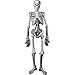 Amscan Halloween Decoration | Jointed Skeleton Cutout