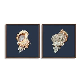 2 Piece Framed Canvas Wall Art for Living Room, Bedroom Conch Theme Canvas Prints for Home Decoration Ready to Hang - 16"x16"x2 Panels
