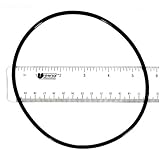 Hayward Pool Parts SPX0710XZ3 Cover O-Ring Replacement