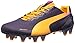 PUMA Men's evoSPEED 1.2 FG Soccer Cleat