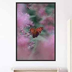signwin Framed Canvas Wall Art Butterfly Expressive Farmhouse/Country...