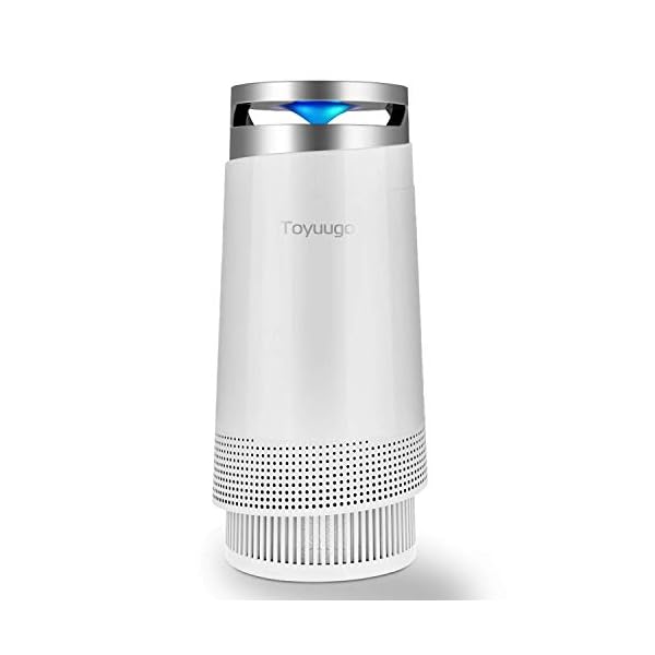 HoMedics HEPA Air Purifier Fan, Keeps Air Fresh, Protects from Allergy