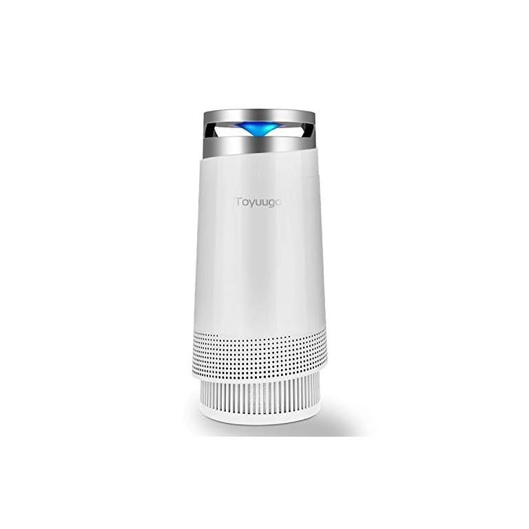 HoMedics HEPA Air Purifier Fan, Keeps Air Fresh, Protects from Allergy