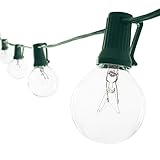 Lux Light G40 Clear Globe Ball String Lights 25 Feet - Indoor/Outdoor Rope Lights for Patio, Decoration, Events, Christmas, Fairy, Seasonal & Parties - Green