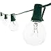 Lux Light G40 Clear Globe Ball String Lights 25 Feet - Indoor/Outdoor Rope Lights for Patio, Decoration, Events, Christmas, Fairy, Seasonal & Parties - Green