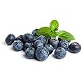 Fresh Frozen Organic Blueberries by Northwest Wild Foods - Healthy Antioxidant Fruit Diet - for Smoothies, Pies, Jams, Syrups (9 Pounds)