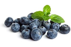 Fresh Frozen Organic Blueberries by Northwest Wild Foods - Healthy Antioxidant Fruit Diet - for Smoothies, Pies, Jams, Syrups (9 Pounds)