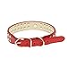 Pet Kingdom 2 Rows Rhinestone Bling Heart Studded Leather Dog Collar for Small Or Medium Pet Collar (Red, Small)