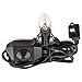 INVITING HOMES Natural Himalayan Salt Lamp in Clear Glass Holder with Dimmable Switch, 6ft UL-Listed Cord and 15-Watt Light Bulb