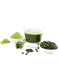 Verde Alimentos Magma Plus, GM-11, 1, 1