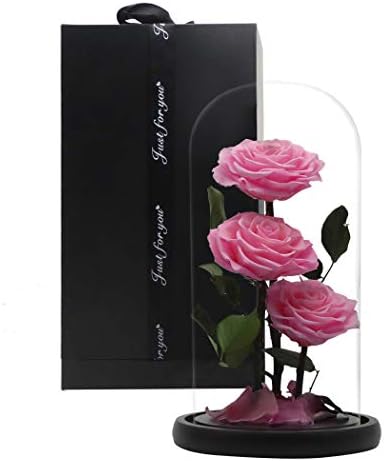 Dear her Beauty and The Beast Rose Handmade Preserved Flowers, Forever Rose in a Glass Gift Box, Family Party Wedding Valentine's Day, Best Gift for Her