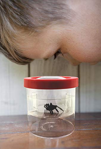 XIYITOY Best Gifts for Teen Girl, Bug Viewer Box with 8X Magnifier for Kids Toys for 3-12 Year Old Girls Boys View and Collect Insects Up Close (Red) - Thumbnail 2
