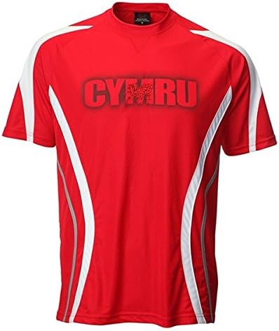 ORIGINMENSWEAR New Childrens Boys Wales Welsh Cymru Football Sportsware T Shirt Top