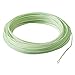 RIO Fly Fishing Fly Line Gold LUMILEX-Floating Wf5F Fishing Line, Limoux