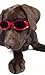 Doggles ILS Small Metallic Flames Frame / Orange Lens