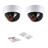 Simulated Surveillance Cameras, Dummy Security