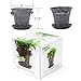 Window Garden Rustic Charm 6” Planter - Fine Home Décor Ceramic Indoor Decorative Pot. for or Herbs, Flowers, Succulents. Beautifully Packaged, Great Gift for Mom, Office, Holiday.