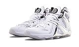 Nike Lebron XII 12 Elite SP/PIGALLE 806951-100 White/Pure Platinum Men's Basketball Shoes