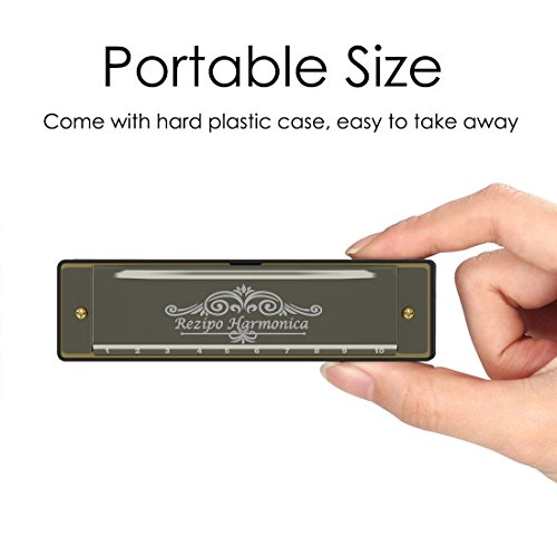 image for 2 Pcs Diatonic Harmonica Standard 10 Hole 20 Tones Harmonica Key Of C 