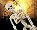 16'' Posable Halloween Skeleton, Aitbay Halloween Decorations Full Body Skeletons Props for Halloween Party Graveyard Haunted House Decoration 2 Pack