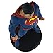 DC Rebirth Superman Statue Icon Heroes - Exclusive Limited Edition out of 2,000