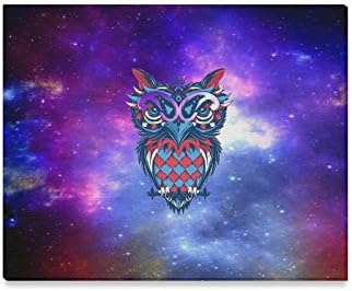 Amazon Com Galaxy Universe Space Owl Oil Painting Home Decorative Canvas Prints 20x16 Inch One Side Posters Prints
